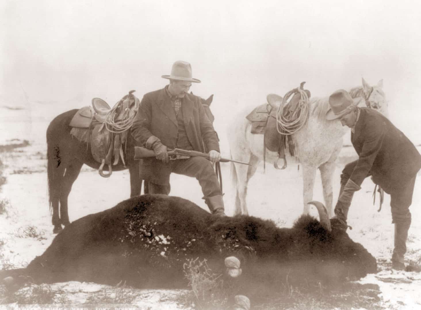 Убитый бизон. Истребление бизонов в Америке. Истребление бизонов в Северной Америке. Гора черепов бизонов 1870.