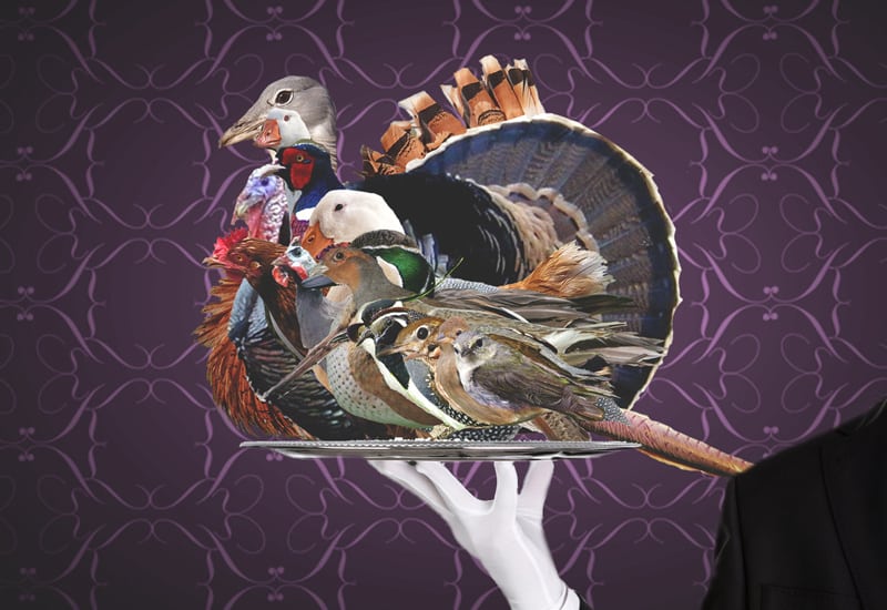 10 Weird Food Delicacies from History that are Not Appetizing