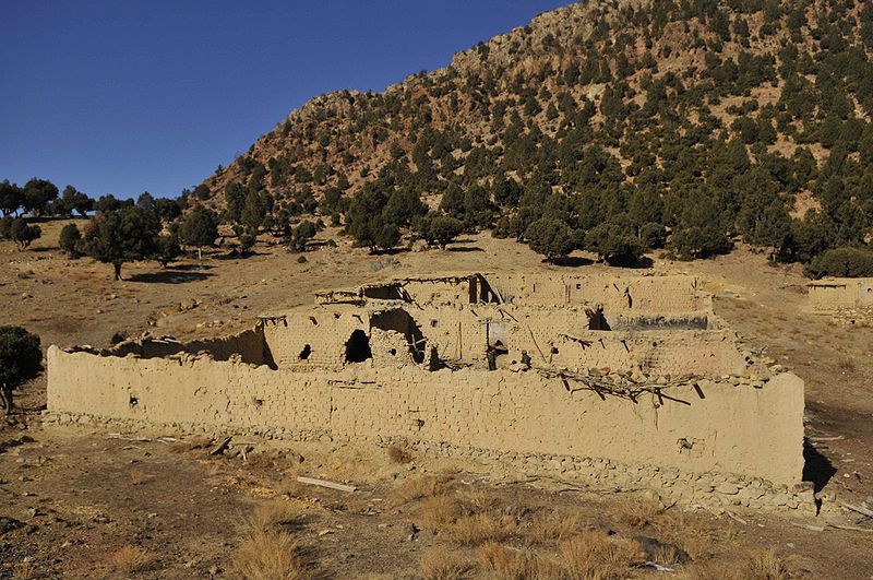 How the Taliban Secured its Militant Grip on Afghanistan Through History