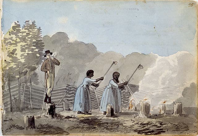 This is What Daily Life for an Enslaved Person in Virginia was Like