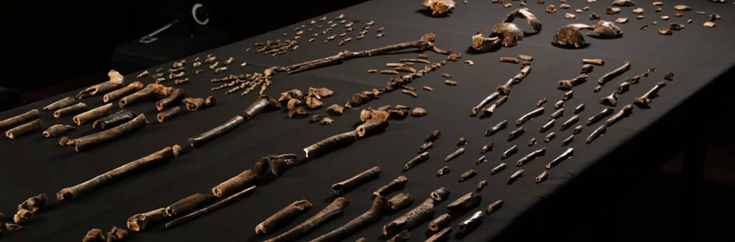 Archaeological Facts that Could Change the Way We See History