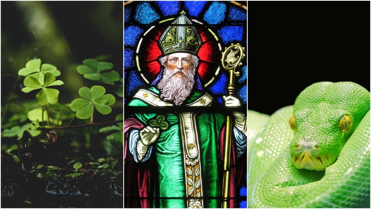 Mad Myths in History that Just Won’t Go Away