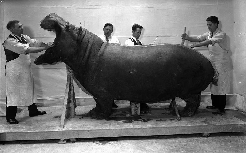 The Craziest Schemes that the Government Ever Tried to Push on the Masses