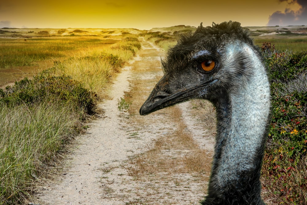Side-Splitting Historical Facts That Will Leave You in Stitches