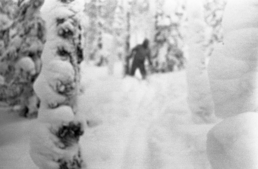 The Grim Theories Behind the Dyatlov Pass Incident
