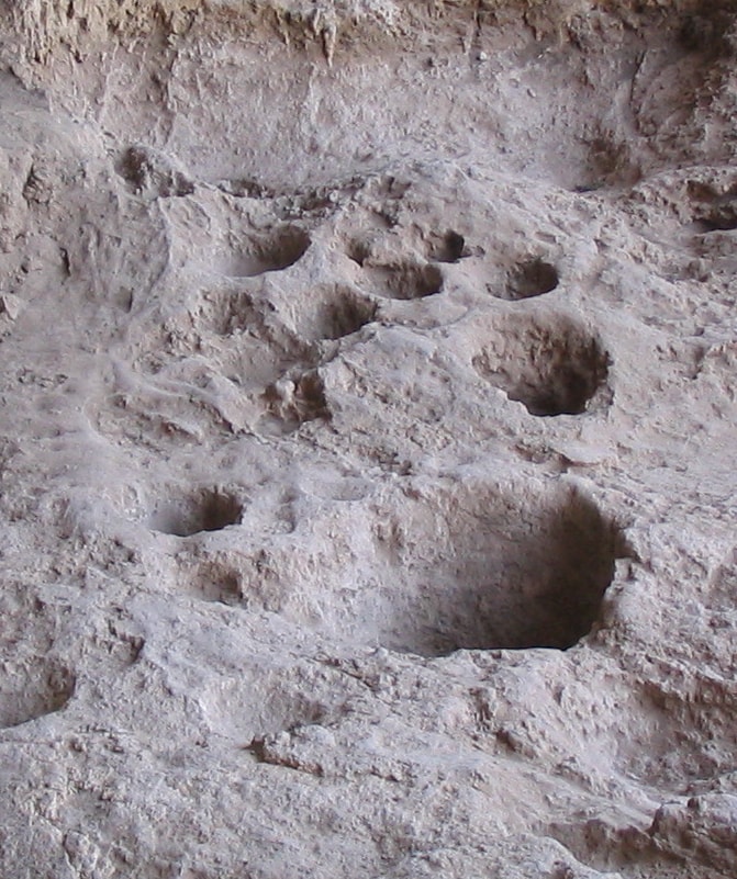Civilization Exists Because of Beer & Other Prehistory Facts