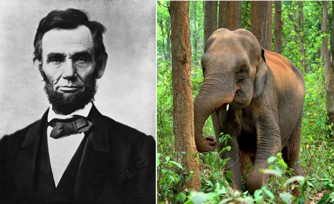 Wildly Bizarre Decisions that Shaped Early America
