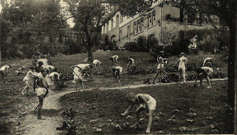 Children gardening outdoors at tuberculosis preventorium