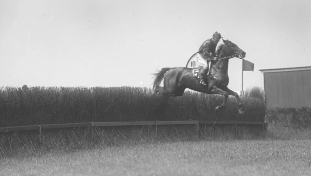 Unusual Historic Events That Will Make You Cringe For Days
