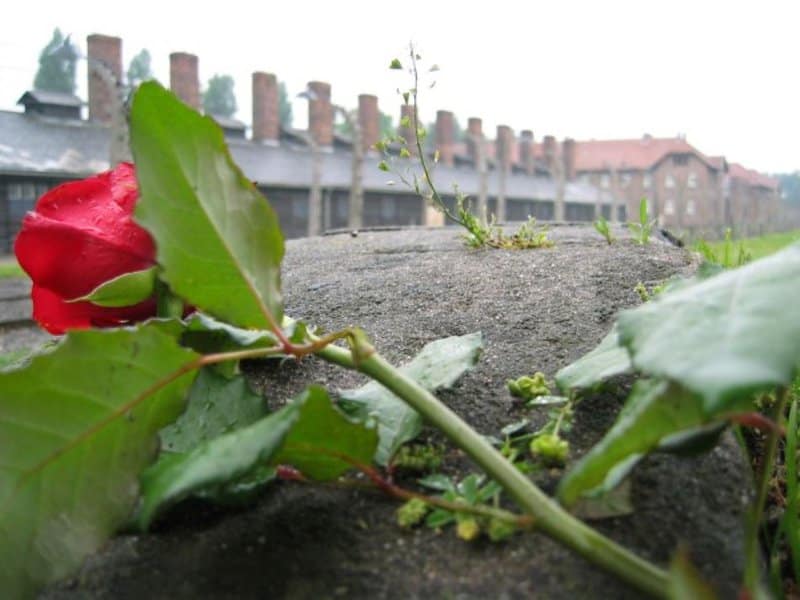 Historic Sites That You Can No Longer Visit